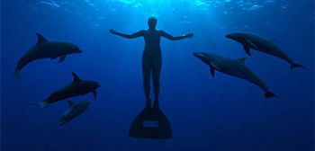 cove-underwater-poster-crop-tsrimg.jpg